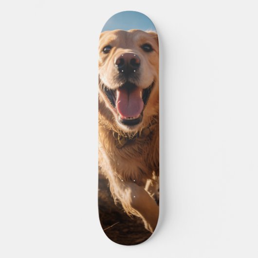 Happy Golden Retriever Running Skateboard (Vorderseite)