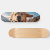 Happy Golden Retriever Running Skateboard (Horizontal)