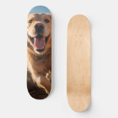 Happy Golden Retriever Running Skateboard (Vorderseite)
