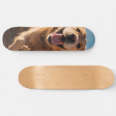 Happy Golden Retriever Running Skateboard (Horizontal)
