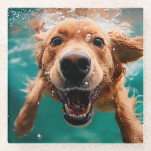 Happy Golden Retriever Schwimmen unter Wasser Glasuntersetzer