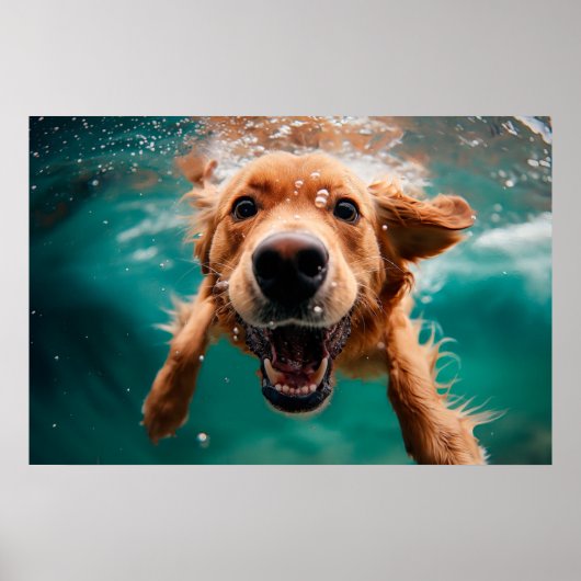 Happy Golden Retriever Schwimmen unter Wasser Poster (Vorne)