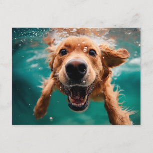 Happy Golden Retriever Schwimmen unter Wasser Postkarte