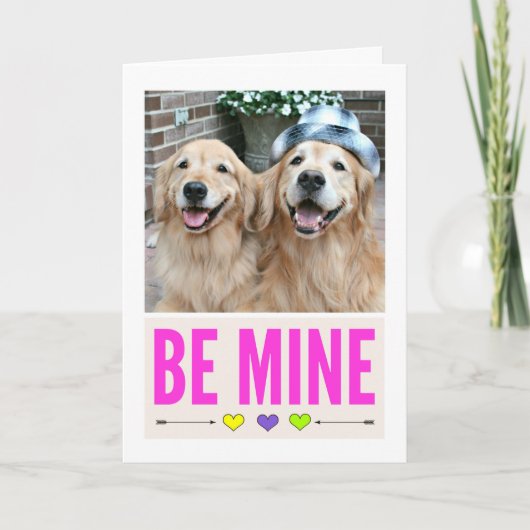 Happy Golden Retrievers Der Valentinstag Feiertagskarte (Vorderseite)