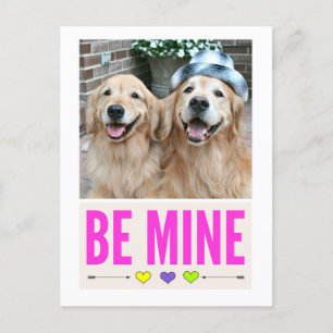 Happy Golden Retrievers Der Valentinstag Feiertagspostkarte