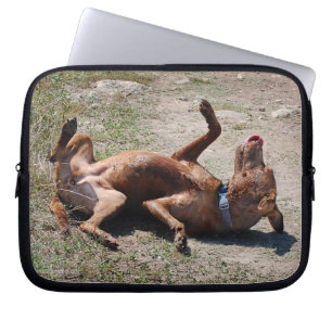 Happy Goofy Chocolate Labrador Pit Mix Dog Laptopschutzhülle