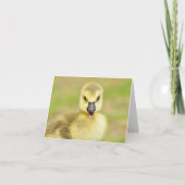 Happy Gosling (Kanada Goose #2) - Blank Note Card Dankeskarte (Vorderseite)