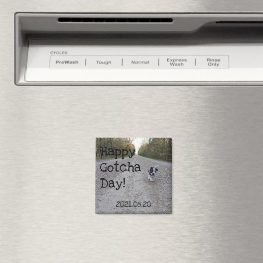 Happy Gotcha Day Magnet (In Situ (Geschirrspüler))