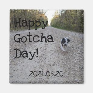Happy Gotcha Day Pet Magnet