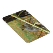 Happy Gray Squirrel Magnet (Rechte Seite)