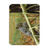 Happy Gray Squirrel Magnet (Vertikal)