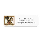 Happy Great Dane Return Address Label (Vorne)