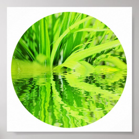 Happy Green Grass Reflection Nature Poster (Vorne)
