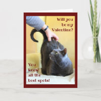 Happy Grey Cat mit Schwanz Up