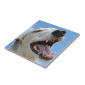 Happy Greyhound Smiilning Face Closeup Fliese (Seite)