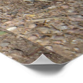 Happy Ground Eichhörnchen Poster (Ecke)