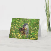 Happy Groundhog Day Card! Karte (Rückseite)