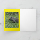 Happy Groundhog Day, custom greeting cards Karte (Innenseite)