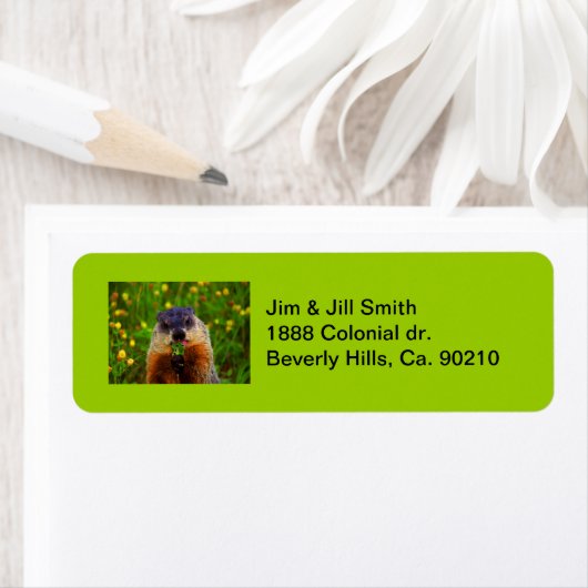 Happy Groundhog Day Eating Blume (Insitu)