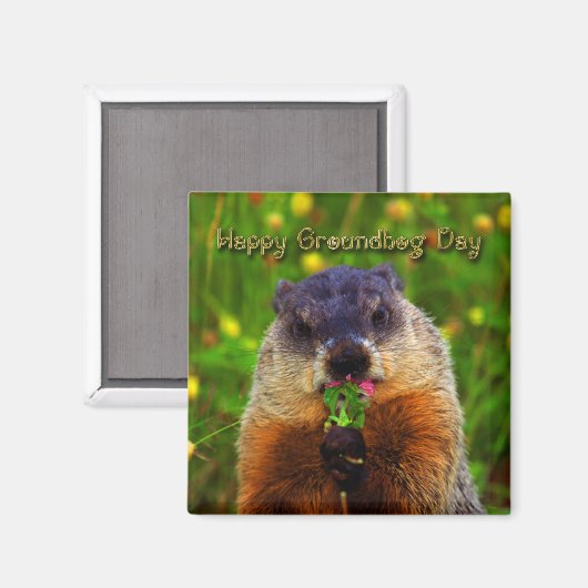 Happy Groundhog Day Eating Blume Magnet (Vorderseite/Rückseite)