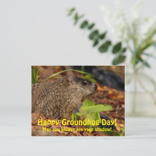 Happy Groundhog Day Postkarte (Stehend Vorderseite)