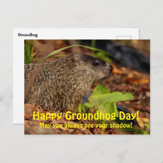 Happy Groundhog Day Postkarte (Vorne/Hinten)