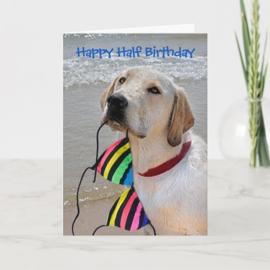 Happy Half Geburtstag Labrador Retriever Karte (Vorderseite)