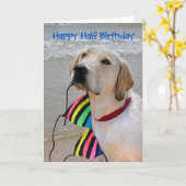 Happy Half Geburtstag Labrador Retriever Karte (Gelbe Blume)