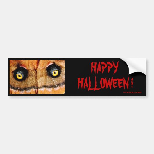 HAPPY HALLOWEEN ! AUTOAUFKLEBER (Vorne)