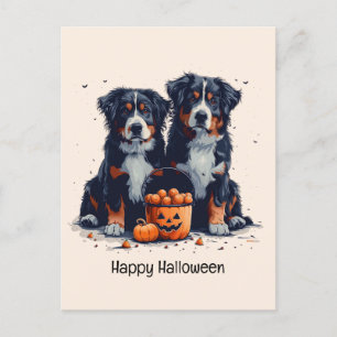 Happy Halloween Bernese Mountain Hunde Pumpkin Postkarte