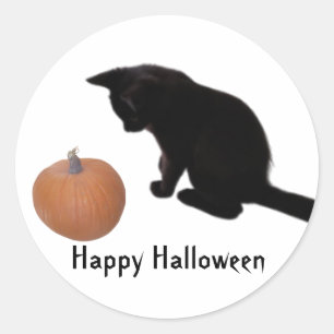 Happy Halloween Black Kitten und Orange Pumpkin Runder Aufkleber