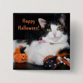 Happy Halloween Cat Calico Kitty mit Pumpkin Button