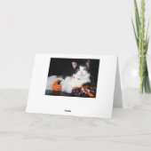 Happy Halloween Cat Calico Kitty mit Pumpkin Karte (Rückseite)