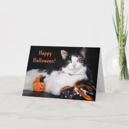 Happy Halloween Cat Calico Kitty mit Pumpkin Karte