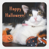 Happy Halloween Cat Calico Kitty Quadratischer Aufkleber (Vorderseite)