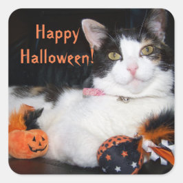 Happy Halloween Cat Calico Kitty Quadratischer Aufkleber