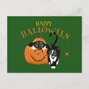 Happy Halloween Cat fun Postcard Postkarte