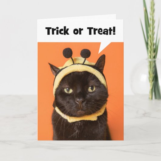 Happy Halloween Cat in Bee Costume Humor Feiertagskarte (Vorderseite)