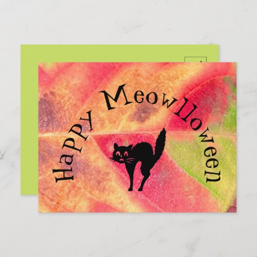 Happy Halloween Cat Meow Postcard Postkarte (Vorne/Hinten)
