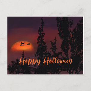 Happy Halloween Cat on Witch Besen Postkarte
