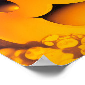 Happy Halloween Cat Poster (Ecke)