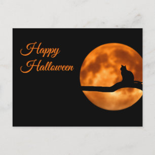 Happy Halloween Cat Postkarte