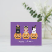 Happy Halloween Cats Kürbislaterne Feiertagspostkarte (Stehend Vorderseite)