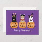 Happy Halloween Cats Kürbislaterne Feiertagspostkarte (Vorne/Hinten)