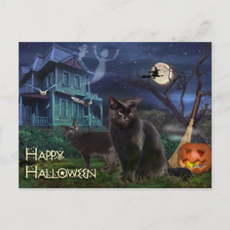 Happy Halloween Cats Postkarte