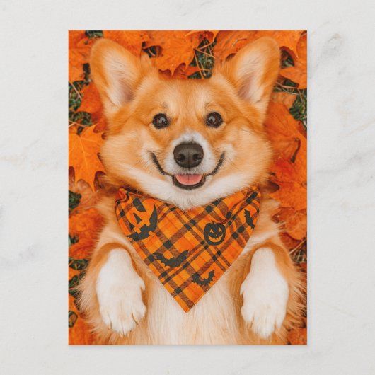 Happy Halloween Corgi Postcard Cute Dog Autumn Postkarte (Vorderseite)