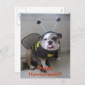 Happy Halloween Feiertagspostkarte (Vorne/Hinten)