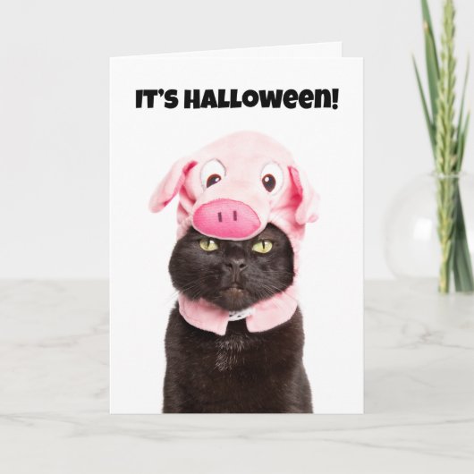 Happy Halloween For Anyone Cat in Pig Cosutme Feiertagskarte (Vorderseite)