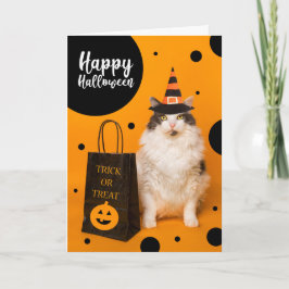 Happy Halloween For Anyone Cute Cat in Witch Hat  Feiertagskarte