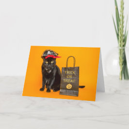 Happy Halloween für jede lustige Piratenkatze Feiertagskarte